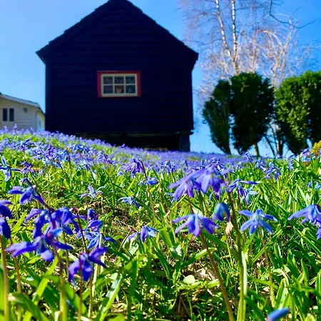 Guddals Tunet Bed and breakfast *