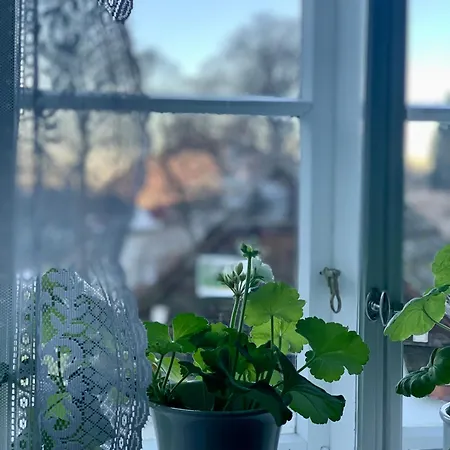 Guddals Tunet * 로슨달